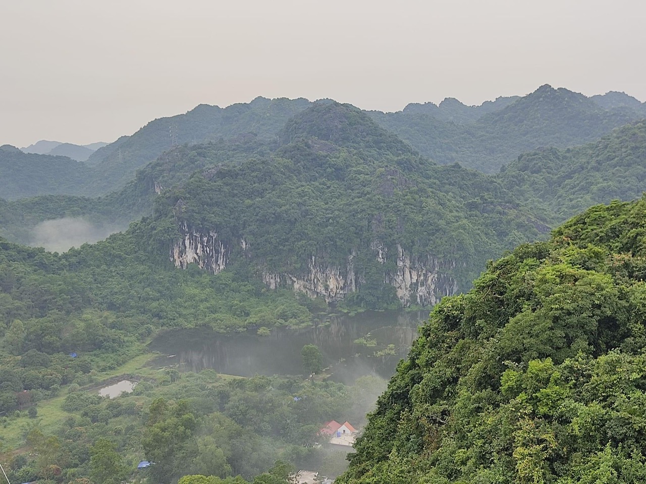 A tour guide pointing out a engaged group of tourists during a jungle trek in Cat Ba National Park.