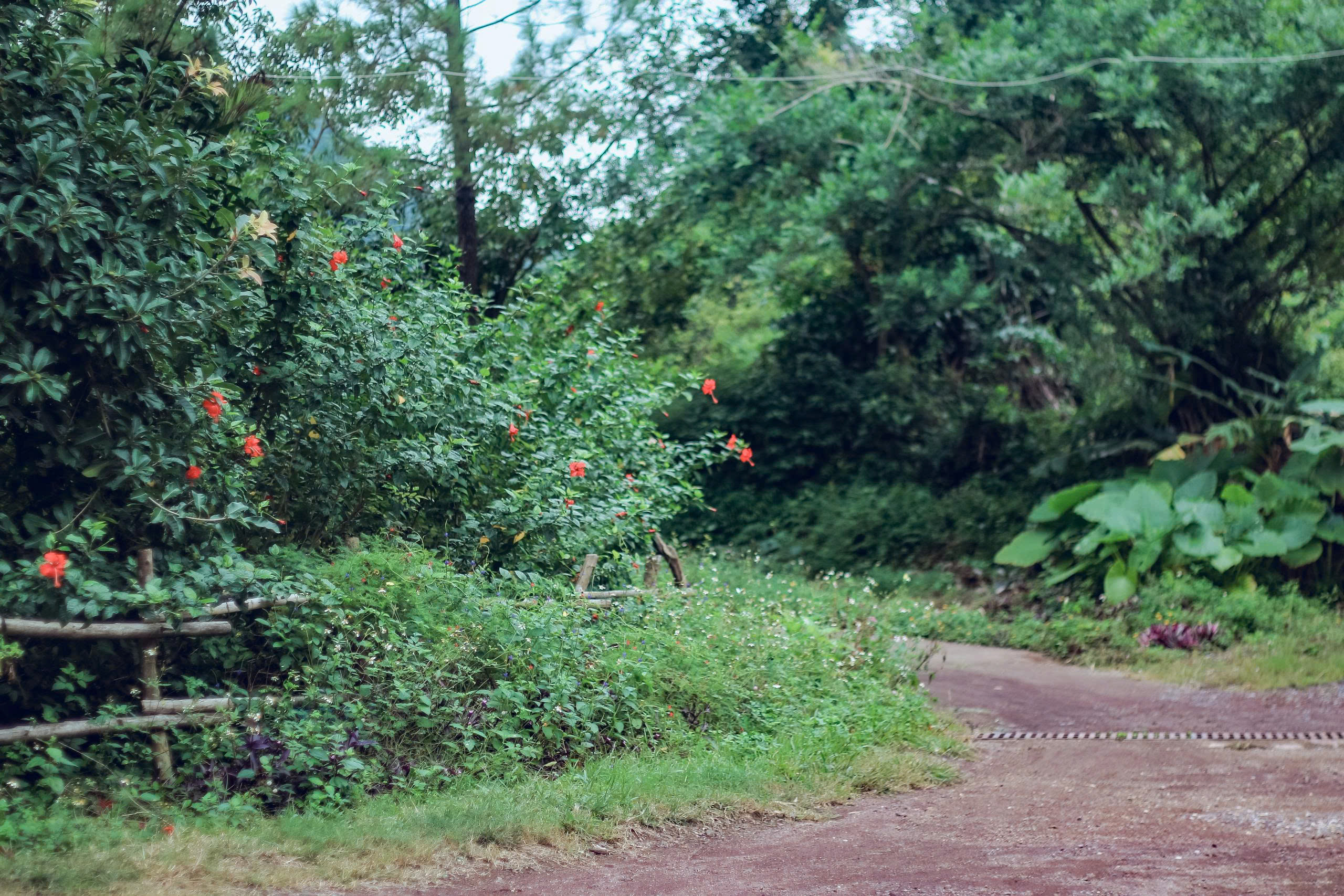 Guests enjoying a freshly prepared meal with local ingredients at the lodge's restaurant.