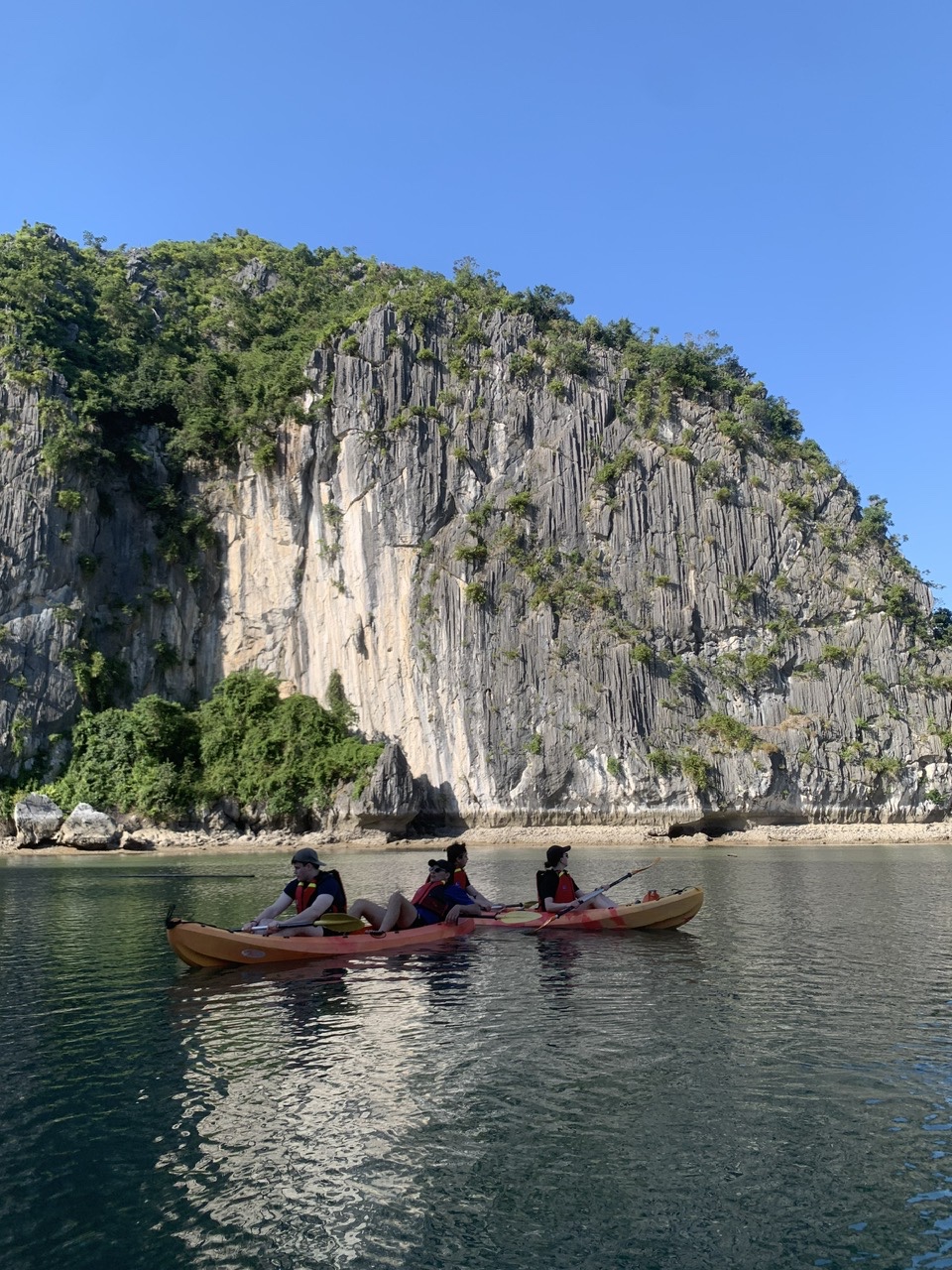 Enlarged gallery image